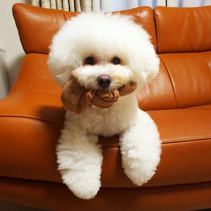 C1a11d9e 9e54 467d 81a0 e5f1bdb4bfaf 1567250723225