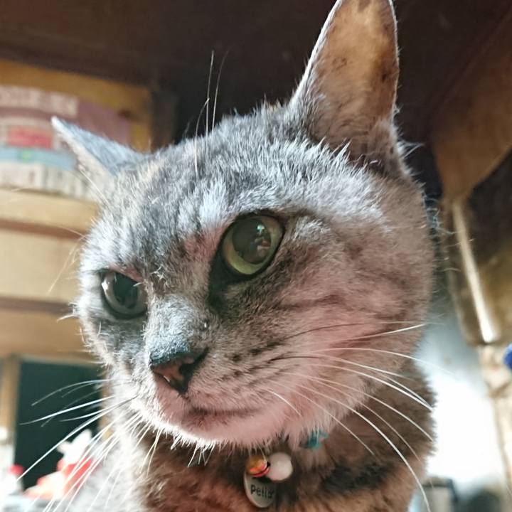 C1a12e65 733c 4842 9d1a 1290dcb9bab7 1566214514457