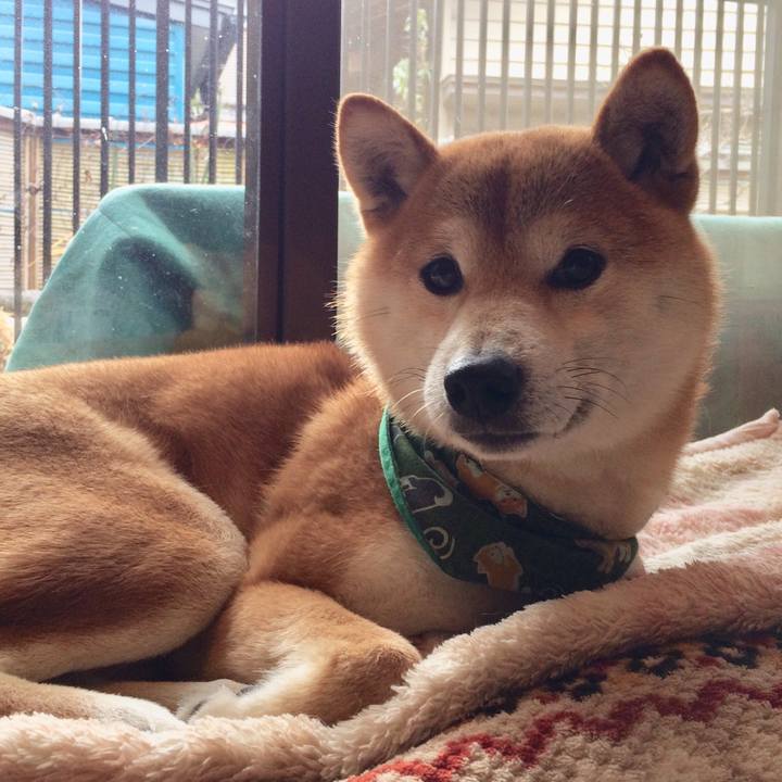 C1a155c8 51f7 4c9b b937 bbdfeed86f8d 1516792519442