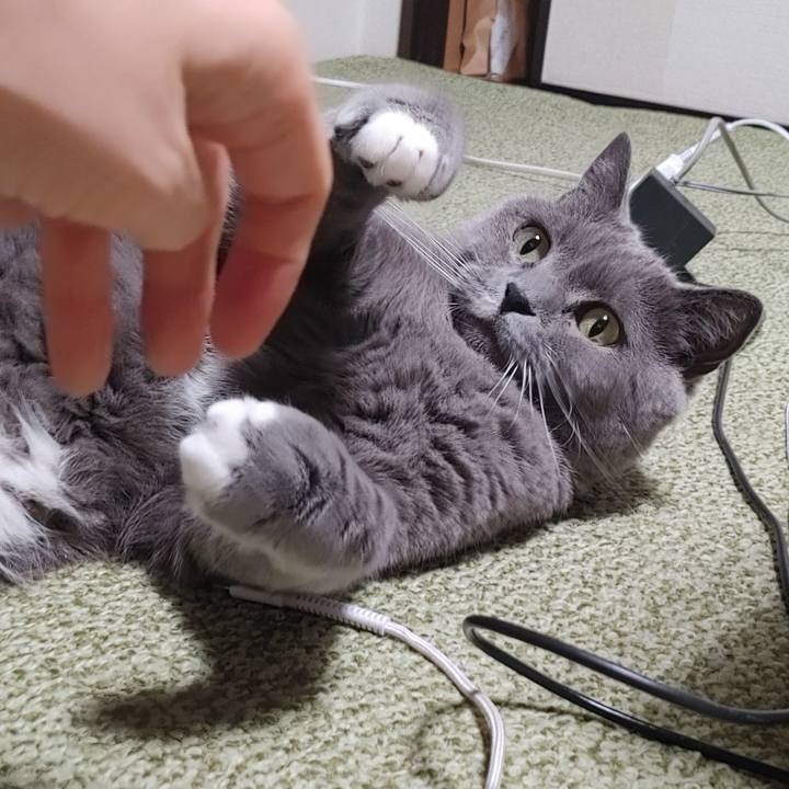 C1a16440 d4f7 4ca1 9297 69b1e3c2f0c8 1727874524753