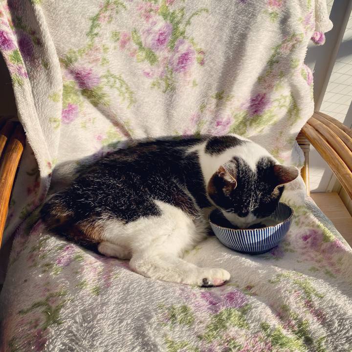 C1a16adc 1c36 41c3 9c43 b89950021869 1614727667632