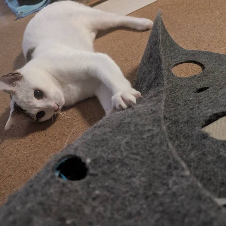 C1a196fd c30e 4a32 a2d9 dd1f4b8f1dea 1752850475069