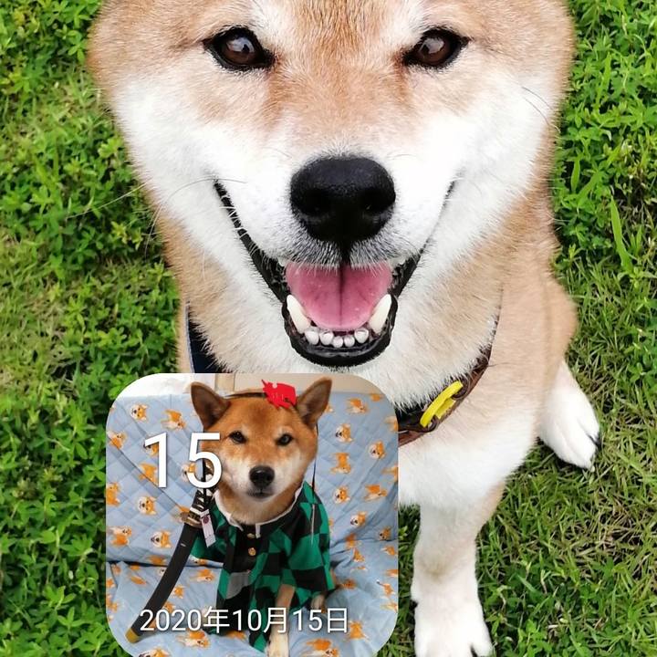 C1a1b069 d79a 4541 af96 5f8c481dd1a1 1634308608418