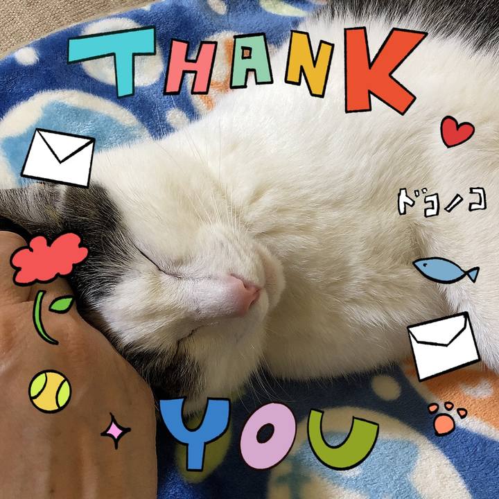 C1a1d238 cba8 4e6d a389 ca253a86b0d4 1714973800936