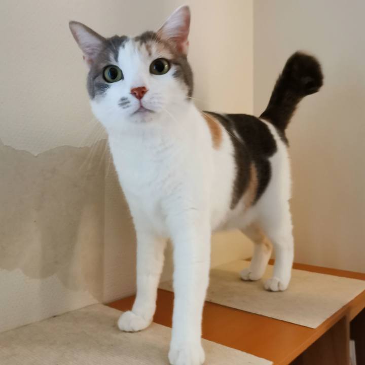 C1a1d50f 8106 4a74 8894 d172f2b3a863 1652155992905