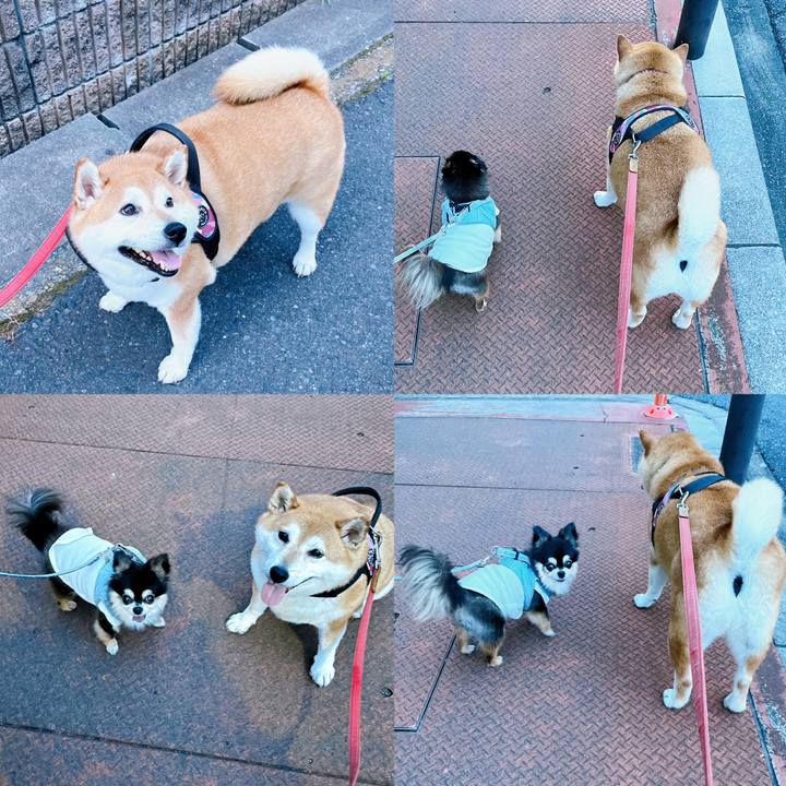 C1a1e0f4 617f 4635 b882 14bc41051bfb 1688726902841