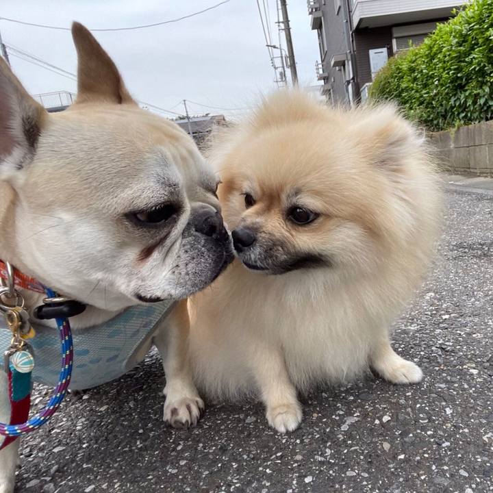 C1a1fc4d 1e95 4cfe a4c0 93504b834120 1652960094516