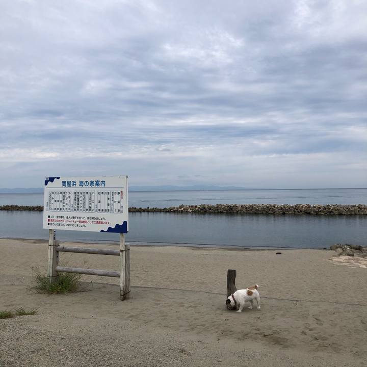 C1a219e0 5832 4d26 ab08 d9aa26aa1c90 1600901703049