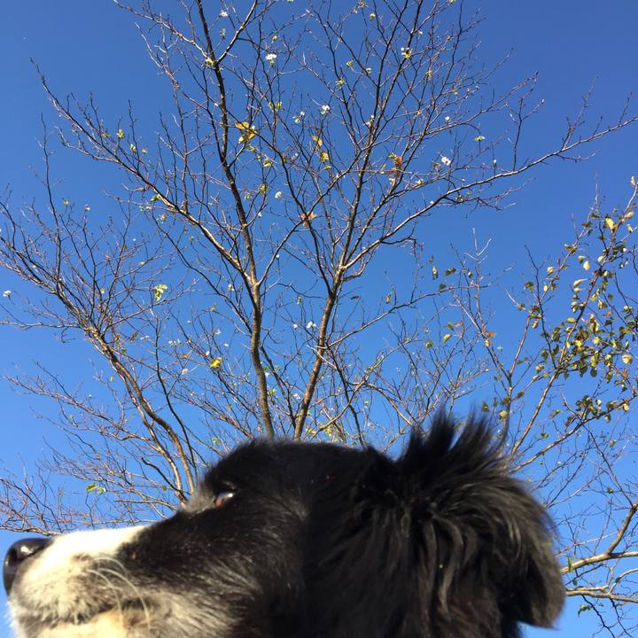 C1a22ae5 0170 443d ae40 9d07f5e84f6d 1540076082984