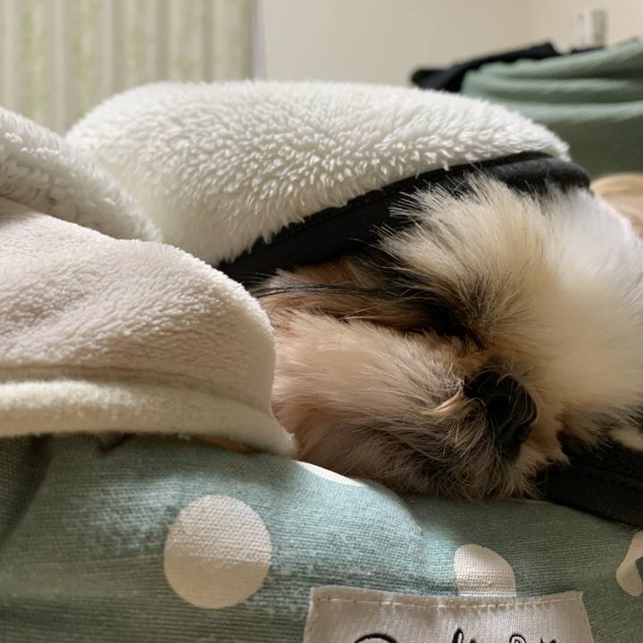 C1a23df6 8082 4e99 9c6e 22bbdc958e63 1640962202189