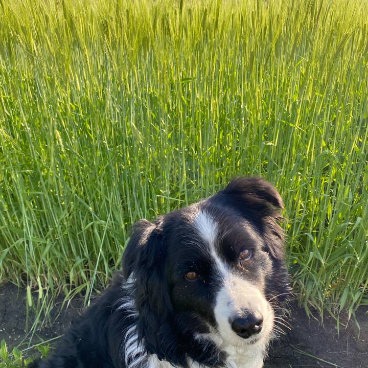 C1a2576c 2812 47cf b9bb b5f712f33a83 1617751661650