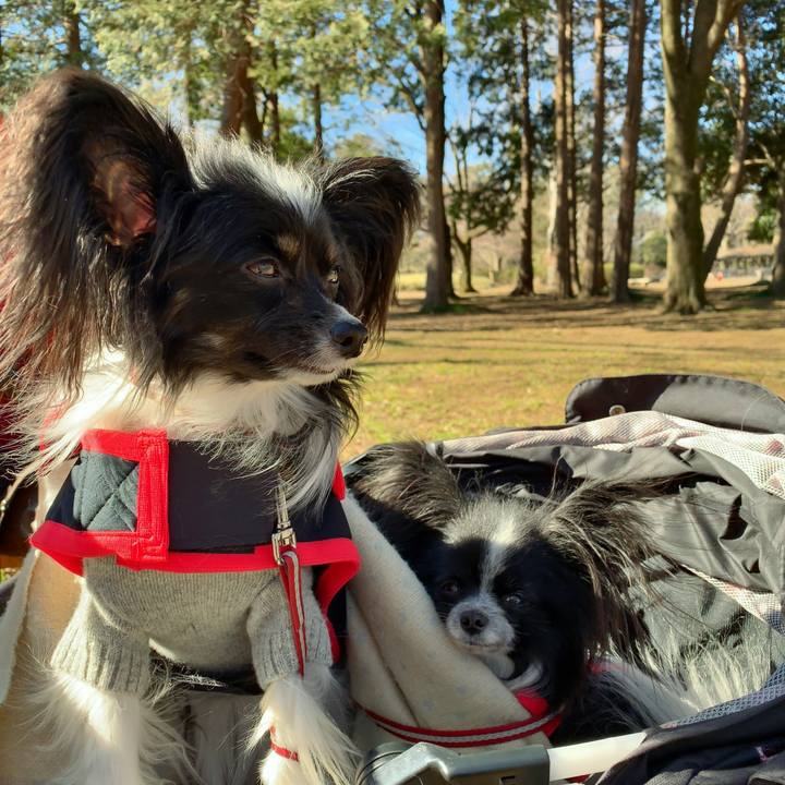 C1a260d0 cbab 4e6f 904d dcc6f38cefdd 1548043271157