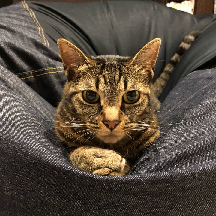 C1a32ca8 646c 47b6 acbf fd07383588f2 1563469013080