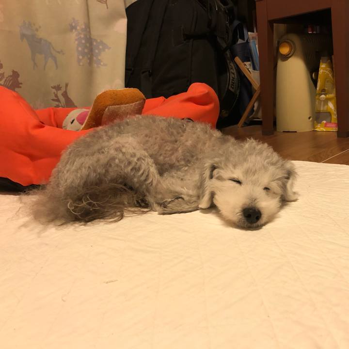 C1a3310b 7a4d 4198 879c d56631cc5b9d 1591619410539