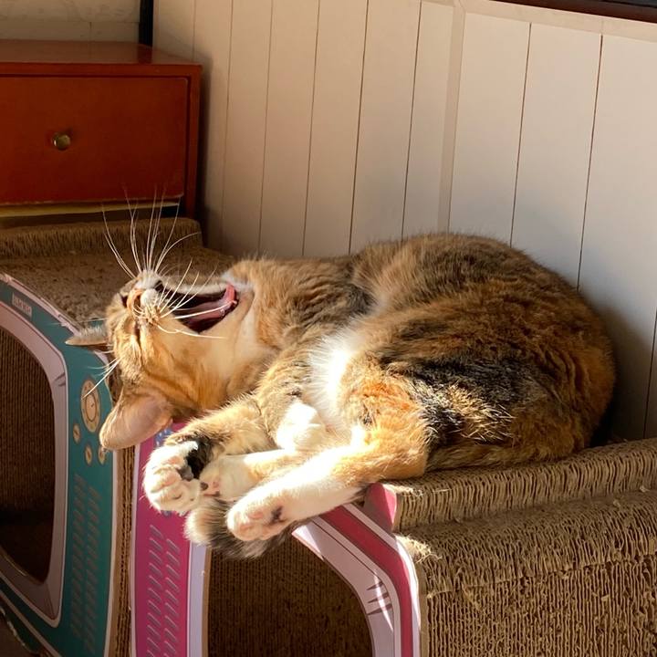 C1a36294 1987 4ef9 ade6 12323317acb1 1667718143924