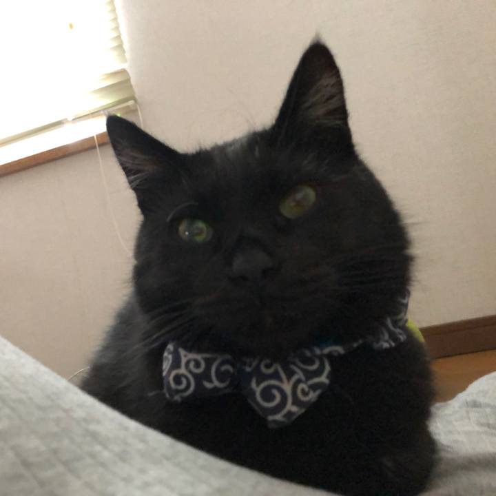 C1a3711f c76a 4c59 a0e5 21706a7df870 1560674607462