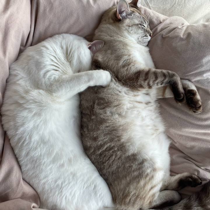 C1a37c19 447d 4faf 95c6 2b41b9ccdede 1740828306546