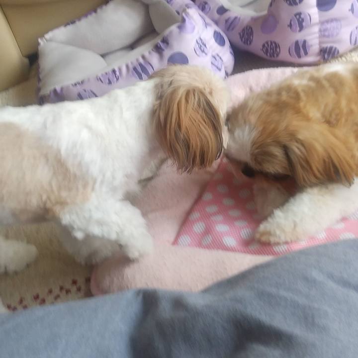 C1a37e0a b8b9 4089 afbb 1502ad7e0dae 1596878086575