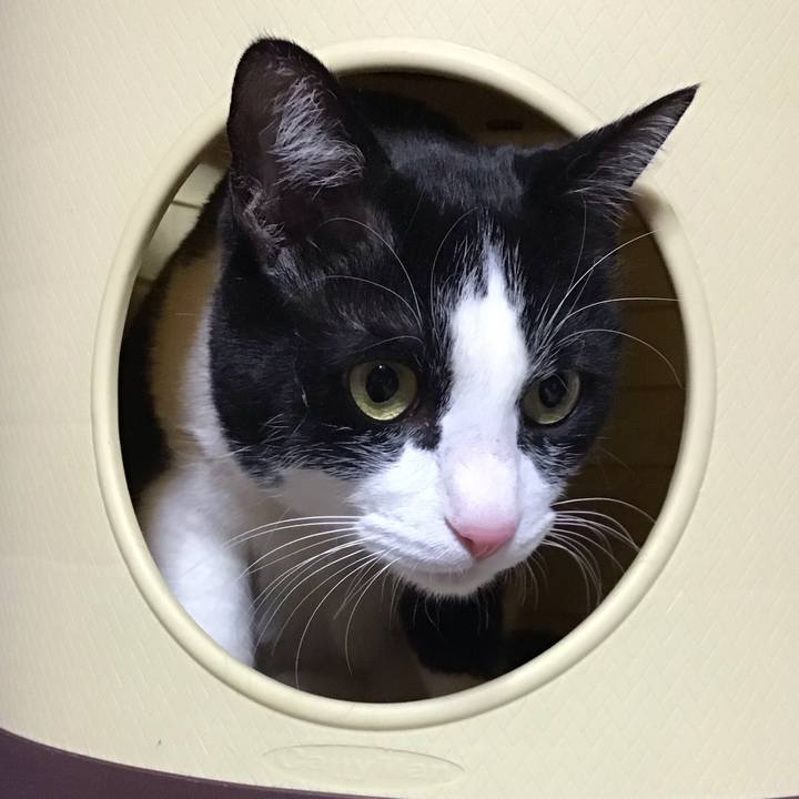 C1a398a7 332f 4309 a649 557e698edd95 1740743569206