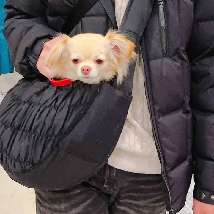 C1a3dcf9 b86c 4825 a600 02eccbb3658c 1648966753055