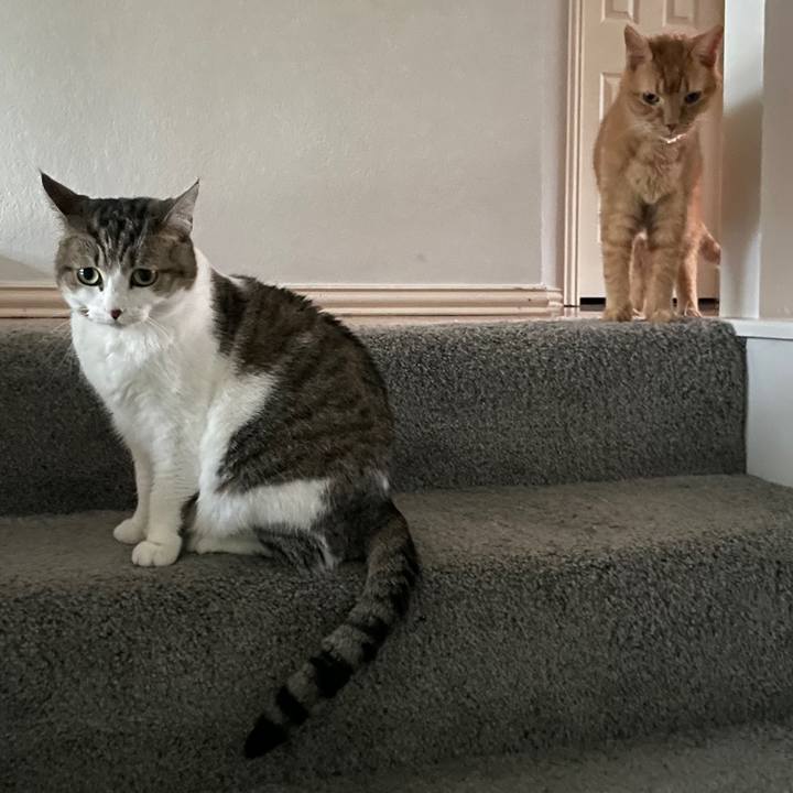 C1a3e2b2 00ec 4c4e 965a 5e2f518533ad 1723426224509