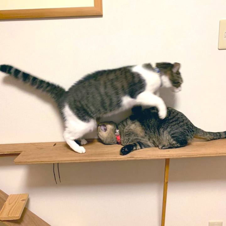 C1a3e7b3 0839 4cf0 8c9d 412b5478e3ca 1572566543373