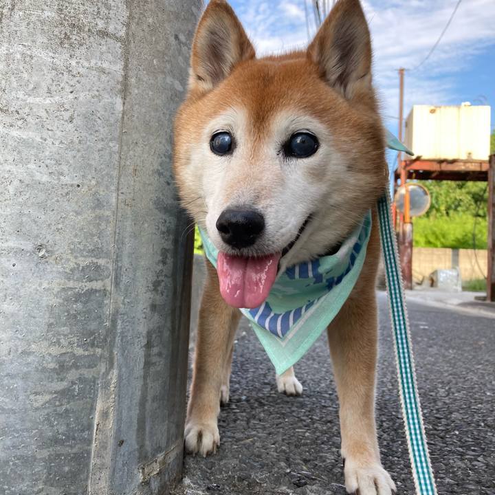 C1a3ec74 8c4a 4b4a 93f4 8f9a8fe9bb35 1751099057148