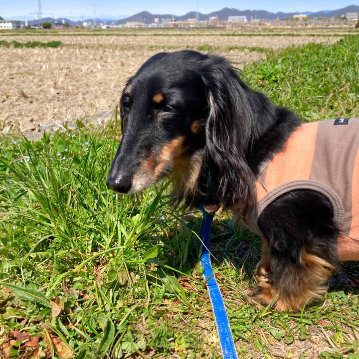 C1a44842 3eef 4661 96ff 409f3b48b447 1773556605274