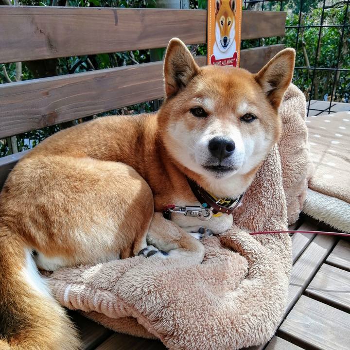 C1a4db3e 20c0 430a a481 5e8c11792942 1612924004777