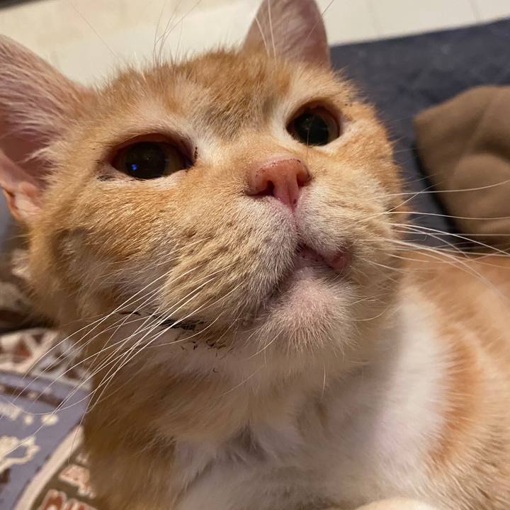 C1a507cd 0cfd 4ff6 8021 9af573811348 1583499230819