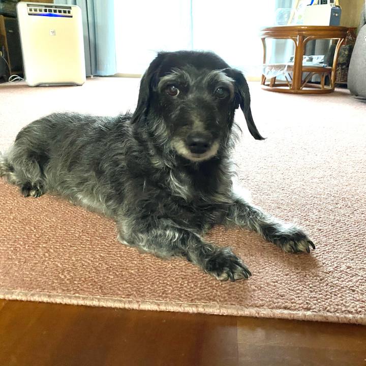 C1a5142e 5915 448d ab8e b00277f747f9 1659136582629