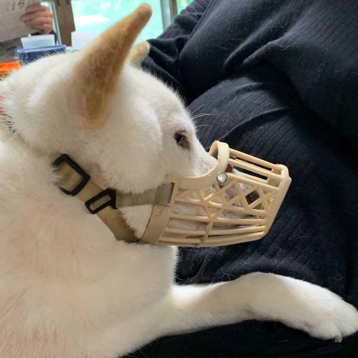 C1a514ae 1309 45dd aa2d c51727008c32 1569107927965