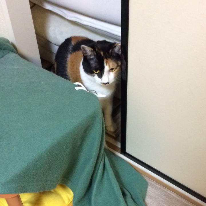 C1a523c2 b035 4e63 a5fd d8965f1d9f16 1568121677196