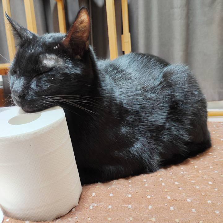 C1a52927 efca 4bb2 b359 b57a462f8c9d 1761951186850