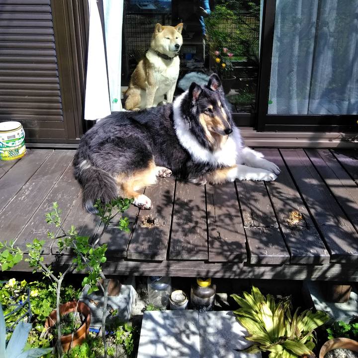 C1a553c8 33ab 4234 91c8 9661c32cee67 1522378862197