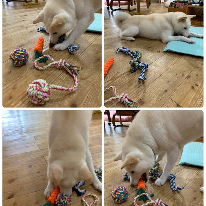 C1a582e9 7115 4e2c 82ec 879235d782bb 1632205560458