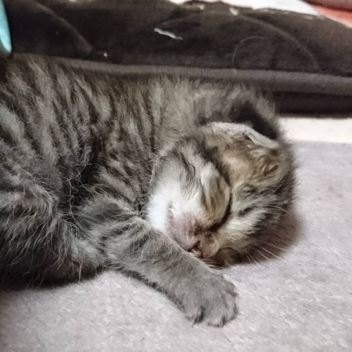 C1a5a087 d712 477d 97e3 7ef23c88cf19 1559744786586