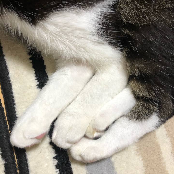 C1a5a8ad 27da 43b2 bd9f f2fa1300985a 1601000314501