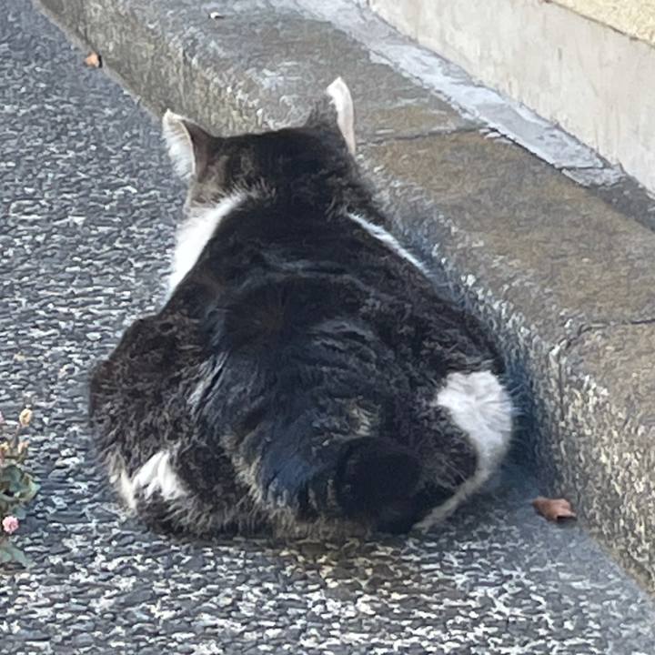 C1a5cdab c150 46a3 bd3a 8d676a8b1537 1619938593684