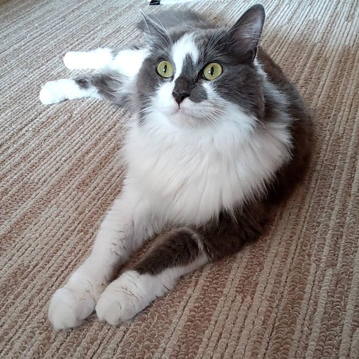 C1a5e038 09c9 4e36 aa9c f3d786f6c987 1660624892755