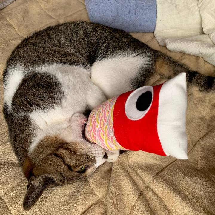 C1a5e8b6 170c 4c6a b32e a40f77289597 1588641701331