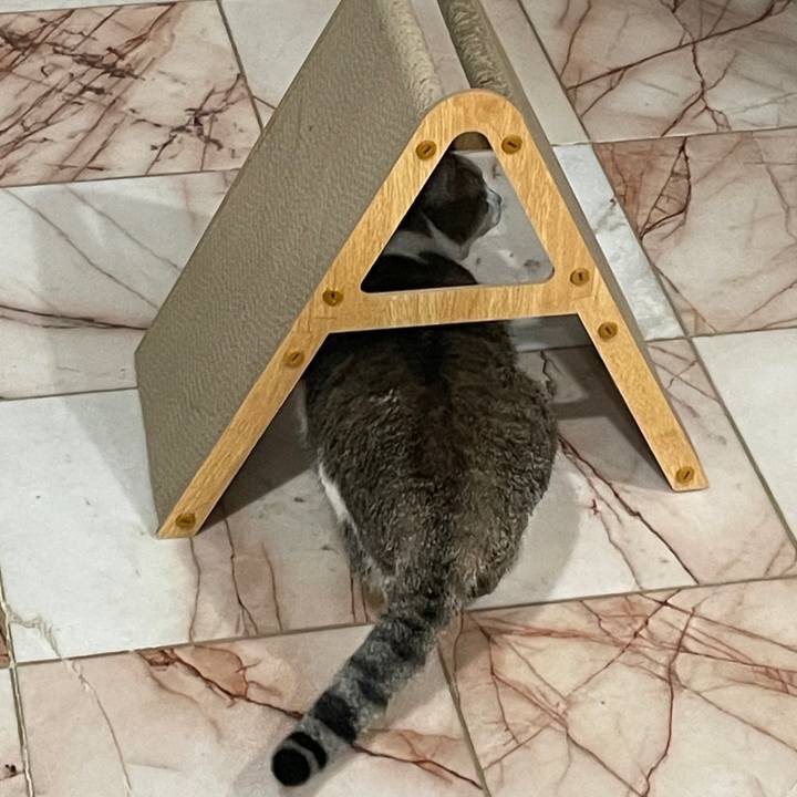 C1a5ff0a b385 4145 a2a8 810dfb85c8fe 1769135307803