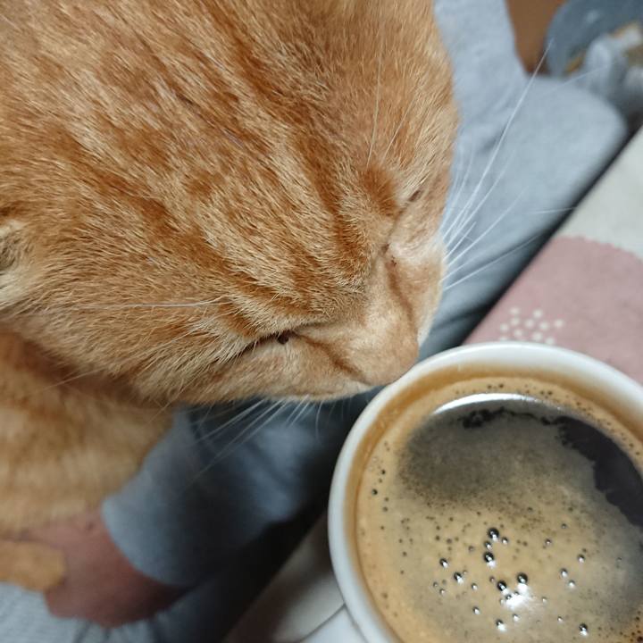 C1a61097 870f 4804 9553 8937e18b41b3 1605728952137