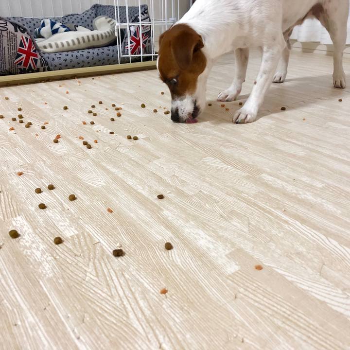 C1a63acb 123a 4f43 95ef 630f76a9f178 1541496382801