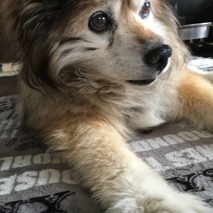 C1a6406b 2802 4273 98a0 7fd8a7382916 1576995289821