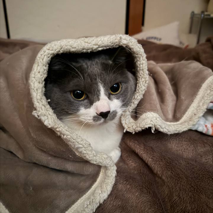 C1a642f3 bf83 43c0 9ed7 3f231a3611e9 1769127202431