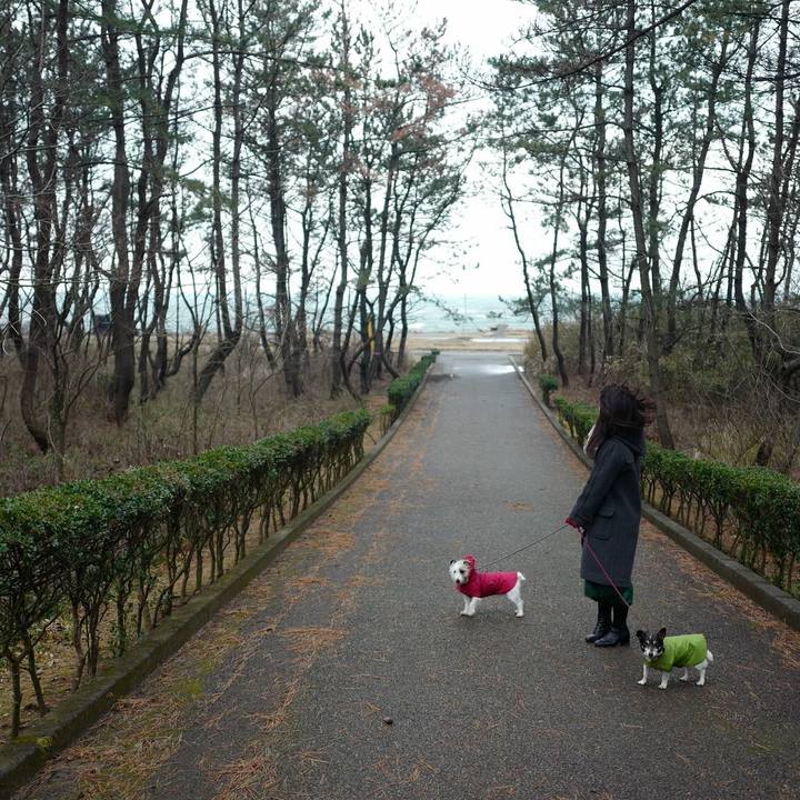 C1a679ab 8cf9 4238 859f a2ec69bf1b2d 1546665487429