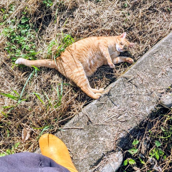 C1a68b31 1b0b 4d8f a967 418a3a9a2c2e 1761881183812