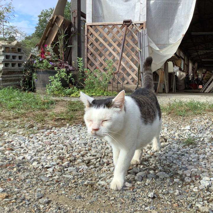 C1a696db 6521 4912 95d6 a062407fa7f5 1599836725824