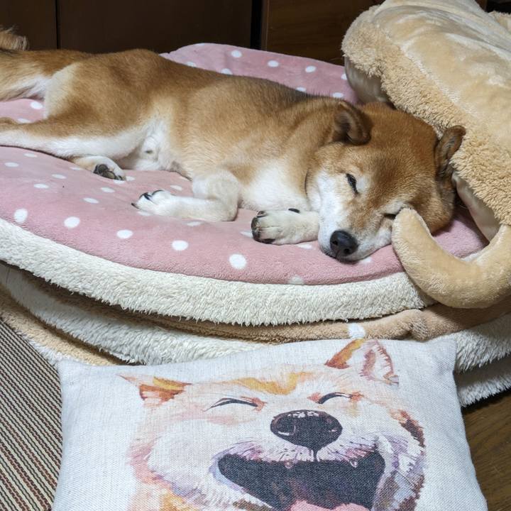 C1a69847 cebd 4842 86c2 14ce47df303c 1718463841883